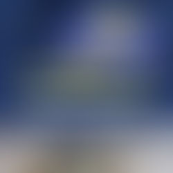 廖国赈：森州马华全体县市议员请辞，续监督政府施政为民发声