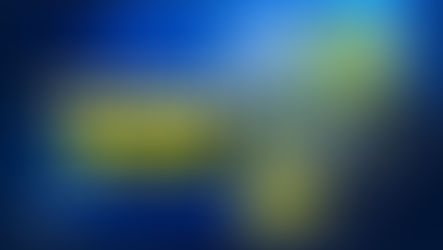 仕林补选重要讯息——华裔不是任何政党的定存票!