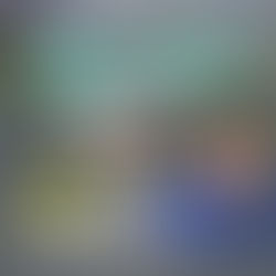 停止一刀切决策,保障数千人生计,陈捷森促雪政府暂缓双溪毛糯花圃搬迁令