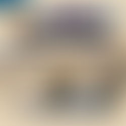 强化马中经贸对接平台，陈德钦：马华积极推动“一带一路”合作走深走实