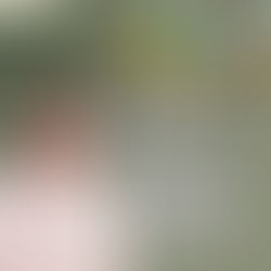 政府承认燃油补贴危机,翁秀秀:财政失当正危及国家未来