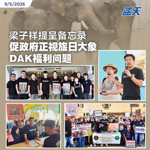 梁子祥提呈备忘录，促政府正视旅日大象DAK福利问题
