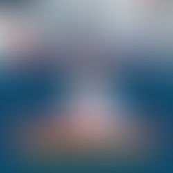 黄卿兴：欢迎援助措施，更须直面柴油成本压力