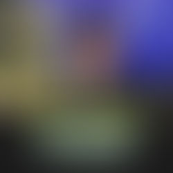 张盛闻:火箭执政彭逾2年,应助劳勿榴梿农民与大臣谈判