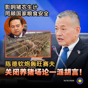 影响猪农生计，罔顾国家粮食安全，陈德钦炮轰旺赛夫关闭养猪场论一派胡言！