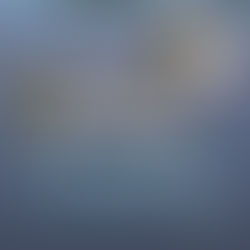 黄子轩促倪可敏正面回应,百姓从此不得质疑团结政府政策?