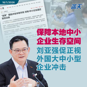 保障本地中小企业生存空间，刘亚强促正视外国大中小型企业冲击　