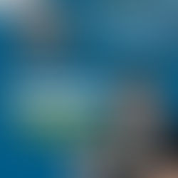 行动党勿转移视线与狡辩侨民地契争议,王祺翔促效仿马华积极解决问题