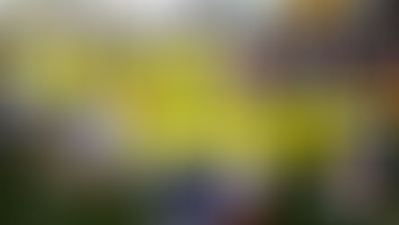 承认统考须言出必行