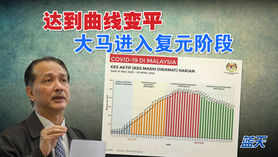 达到曲线变平,大马进入复元阶段