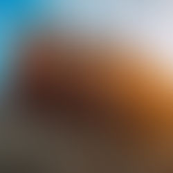 Cotidiano-Restaurant eröffnet im Alten Wall