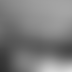 Cotidiano steht als Nachfolge für das Restaurant „Louf“ in Kiel fest