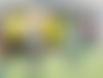 August 2017 - The Sports Connection: Albuquerque Sol