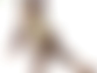 December 2016 - Let Us Entertain You: The Dolls' Jack & The Beanstalk