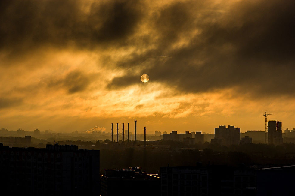 Toxic industry in a toxic world
