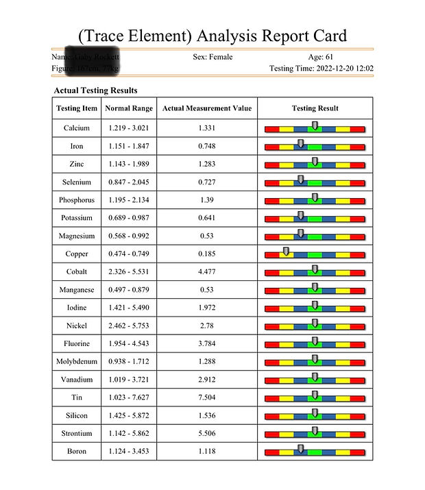 Reflexology Body Balance Randburg Quantum analysis trace ineral results