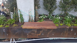 70 Rainey - Live Edge Ipe Wood Slab Benc