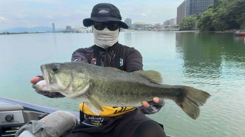 international bass fishing guide service charter biwa lake japan big bass biwa lake c2c swimbait fishing