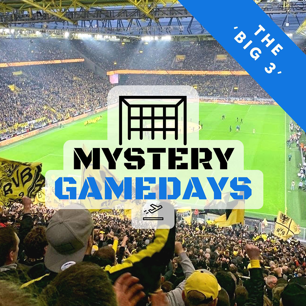 MYSTERY EUROPEAN WEEKEND PACKAGE  (SPANISH, ITALIAN OR GERMAN GAME)