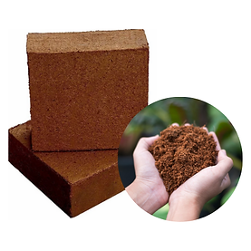 nature beauty care logo (9).png