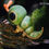 Thumbnail: 【PRE-ORDER】 Emerald Studio - Caterpie Pokemon Resin Statue GK Anime Figure