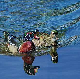 118796121_10158572447292645_339329342010