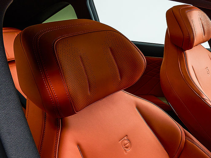 drivers-headrest.jpg
