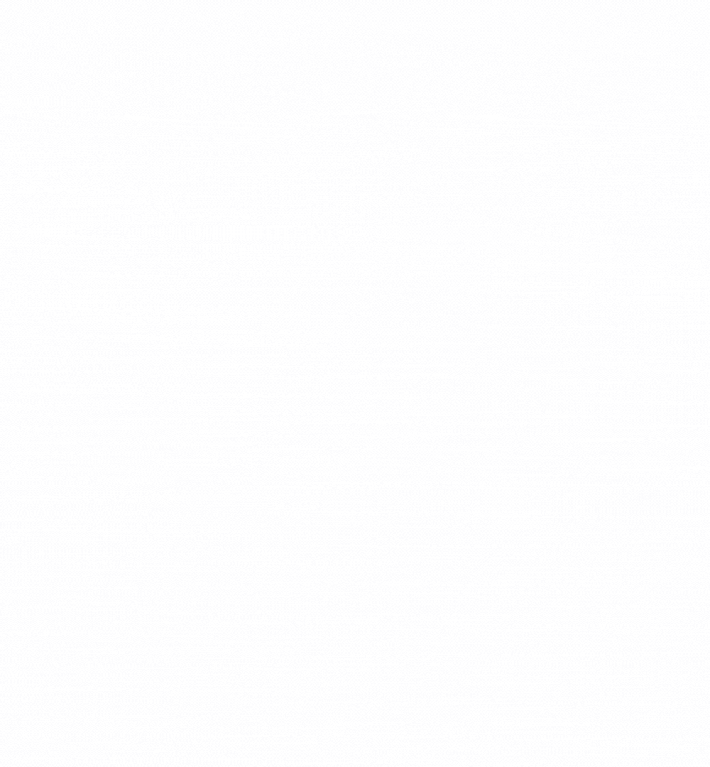gif logo LMX.gif