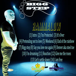 BIGG STEP 4000 X 4000