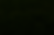 DARK_green-grass-close-up.png