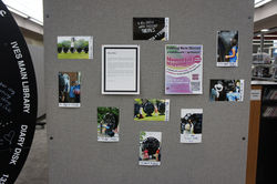 Diary Disks Board