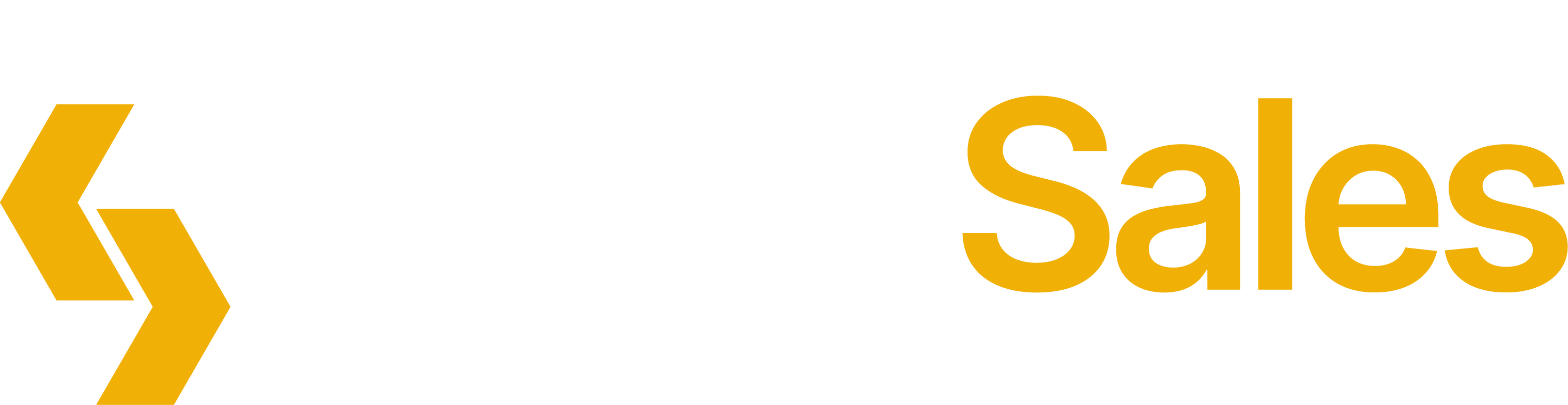 Logotipo_CargoSales_SemFundo-06.png