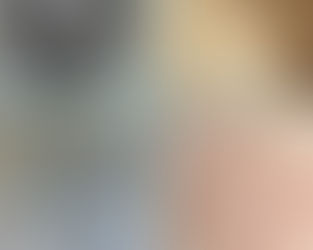 Decoración con rollos de papel higiénico