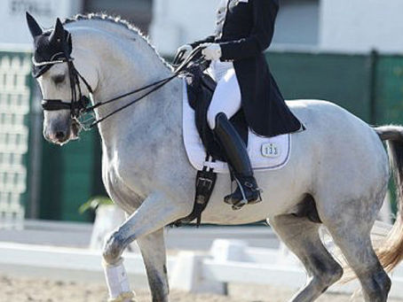 10 Rider Tips to make you look like a Pro