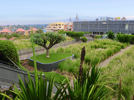 From Coasts to Cities: Mainstreaming Nature-Based Solutions for Climate Resilience in India