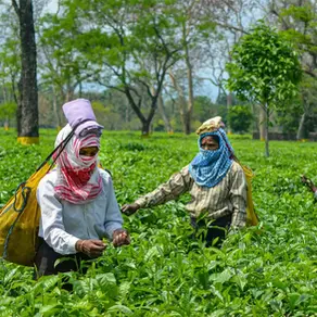Are the Aspirational Districts still aspiring or have they improved? A Socio-Climatic Analysis of Two Districts in Assam