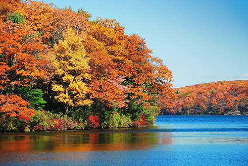 Autumn colorful foliage over lake with beautiful woods in red and yellow color..jpg