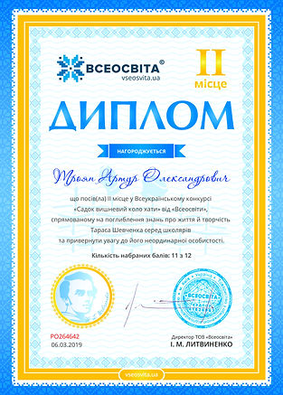 Троян Артур Шевченко дипломІІ.jpg