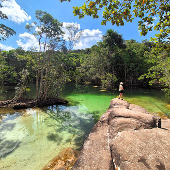 Amazon rainforest tours, Manaus attractions, Amazon River cruises, jungle walks, wildlife spotting, waterfalls, Meeting of the Waters, alligator night tour, Negro River, Amazon adventure travel, eco‑tourism in Brazil, Amazon boat tours, rainforest trekking, indigenous culture experiences, Amazon nature photography, tropical forest exploration.