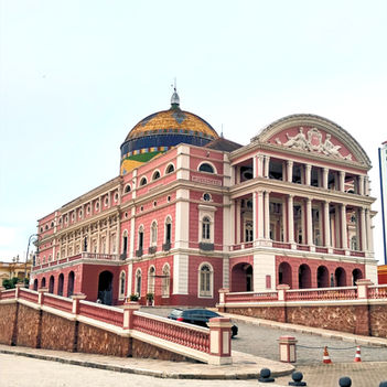 Discover authentic Amazon experiences with certified guides, private tours, safe transportation, and unforgettable adventures across Manaus, the Rio Negro, the Amazon River, and the rainforest.