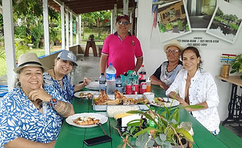 Festival de Parintins 2027 - Pacotes Turísticos Amazon Destinations