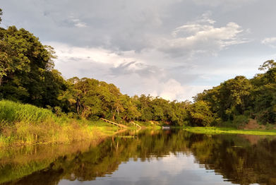 The Best Authentic Amazon Tours with Natives and English Speaking Tour Guide in Manaus, Live the Experience of visiting the Amazon with Jungle Tours or the Capital Manaus, with City Tours, Book Now Your Manaus Amazon Private Tour with Amazon Destinations