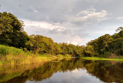 The Best Authentic Amazon Tours with Natives and English Speaking Tour Guide in Manaus, Live the Experience of visiting the Amazon with Jungle Tours or the Capital Manaus, with City Tours, Book Now Your Manaus Amazon Private Tour with Amazon Destinations