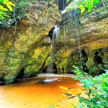 Tours from Manaus to the Jungle