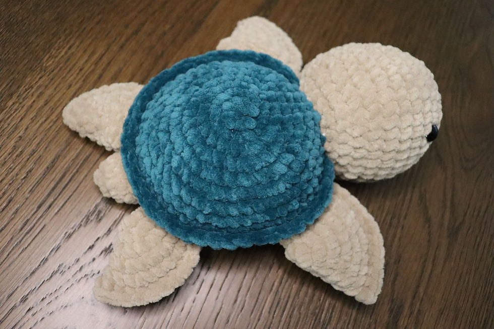 Miniaturbild: Nala die Schildkröte