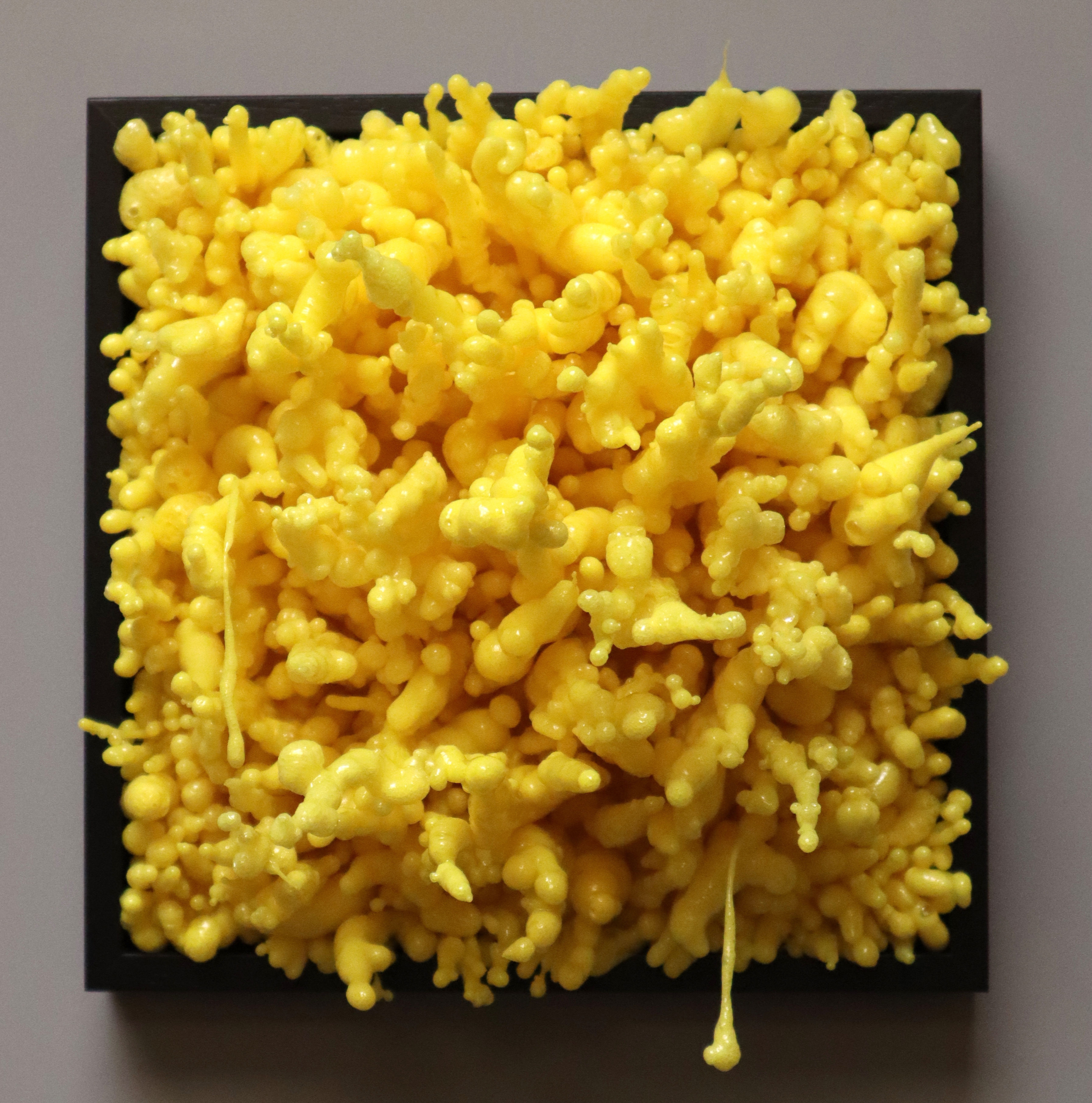 The Parasitic Humanity