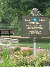Lincolnshire blue star.jpg