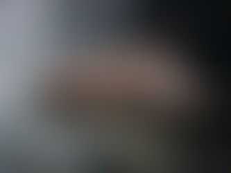 ウナギ味のナマズ