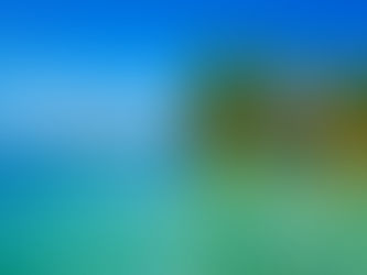 ベリーズでワーキング