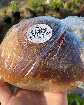 BREAD2.jpg